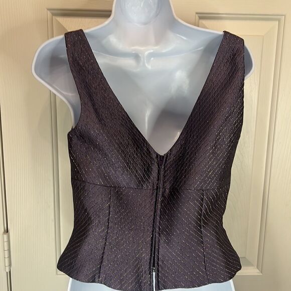 JS Collection Formal Top Size 6 Cropped V Neck Purple Gold Metallic Zipper Back - Picture 4 of 7